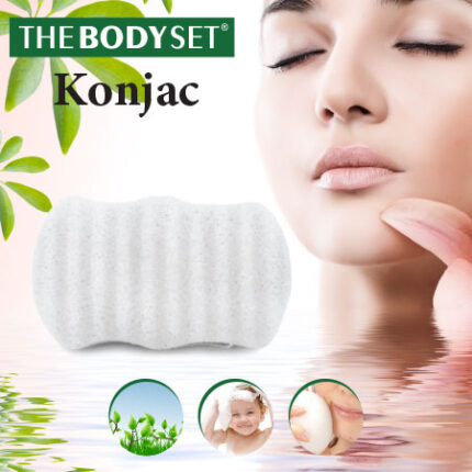 Konjac Sponge